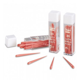 GUTTA PERCHA ROSE NON NORMALISEE X 100