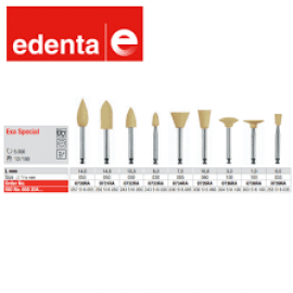 EXA SPECIAL POLISSOIR POINTE X12
