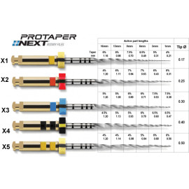 PROTAPER NEXT X 6