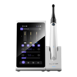 ACTION ENDO GT PRO: MOTEUR ENDO WOODPECKER 